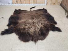 American Bison Buffalo Soft Tanned Robe Taxidermy
