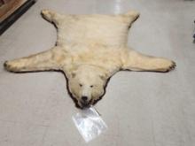 Vintage Polar Bear Rug Taxidermy