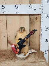 Rock N Roll Squirrel Full Body Taxidermy Mount