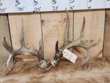 Awesome Canadian Whitetail Double Droptine Sheds
