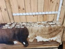 30 Lbs Of Moose Antler Dog Chews