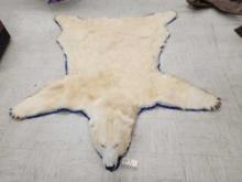 Beautiful Polar Bear Rug Taxidermy