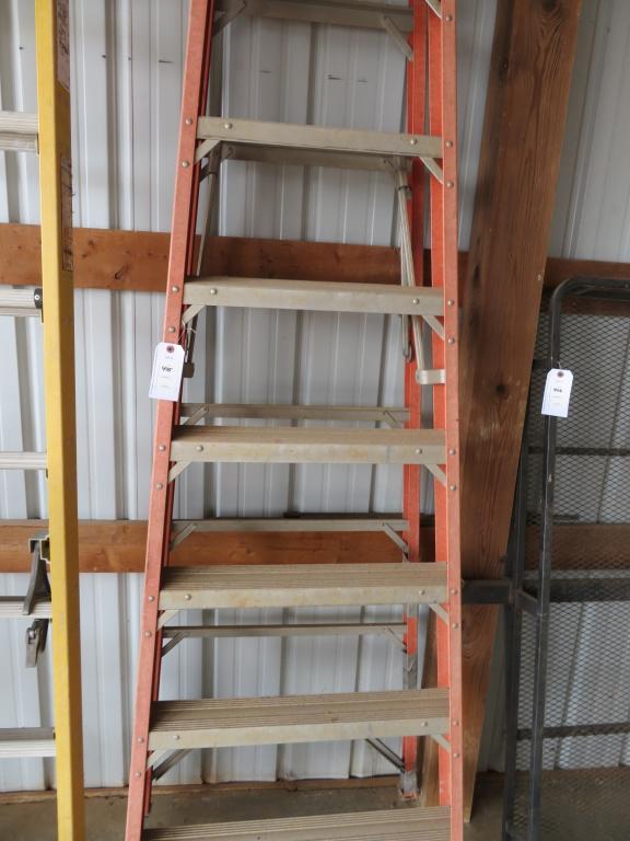 Werner 10ft Step Ladder