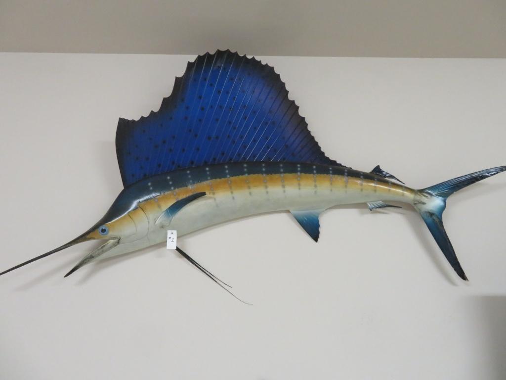 Wall Hanging Sailfish