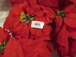 Lot of 5 Poinsettia Wreaths