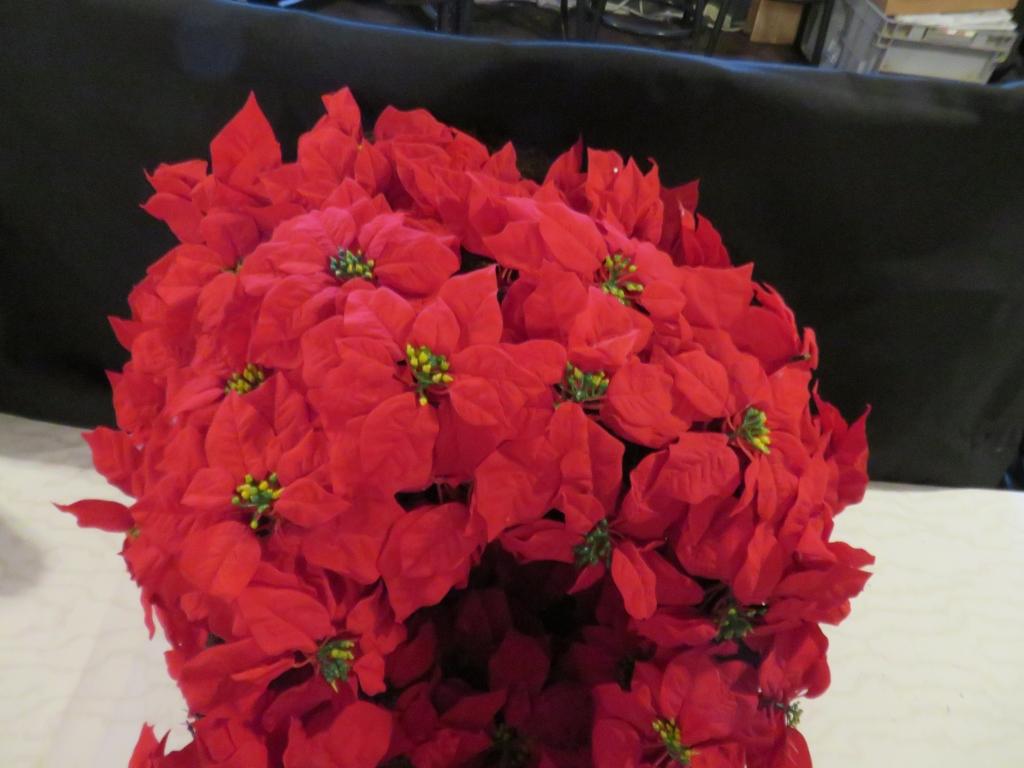 Lot of 5 Poinsettia Wreaths