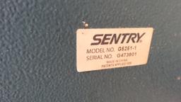 Sentry Safe (no combination and it is locked)