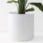 Peach & Pebble 10 in. White Ceramic Indoor Planter