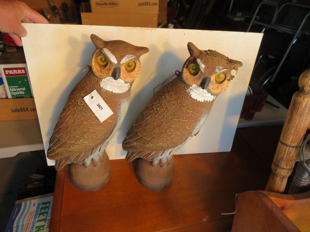 Two Hoot Owls