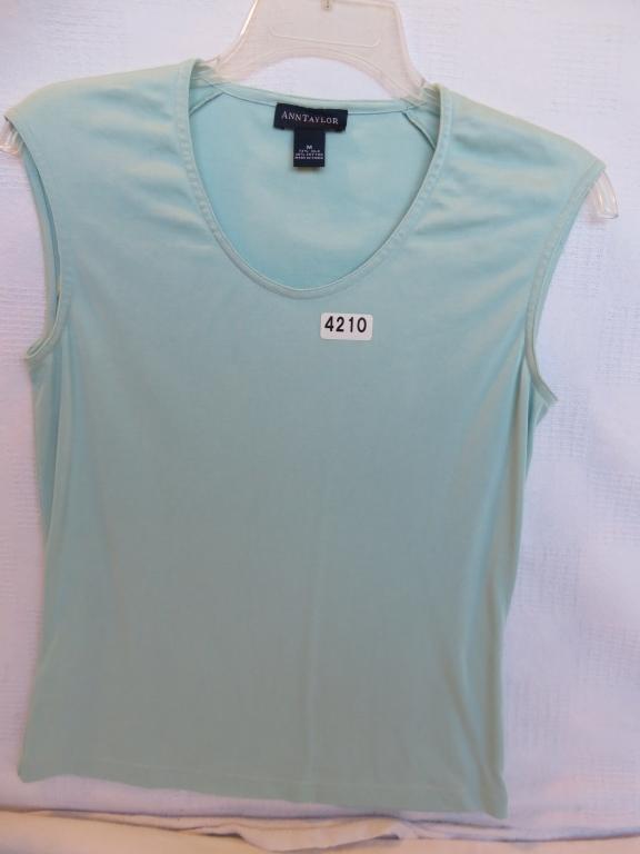 Ann Taylor Ladies Top Medium