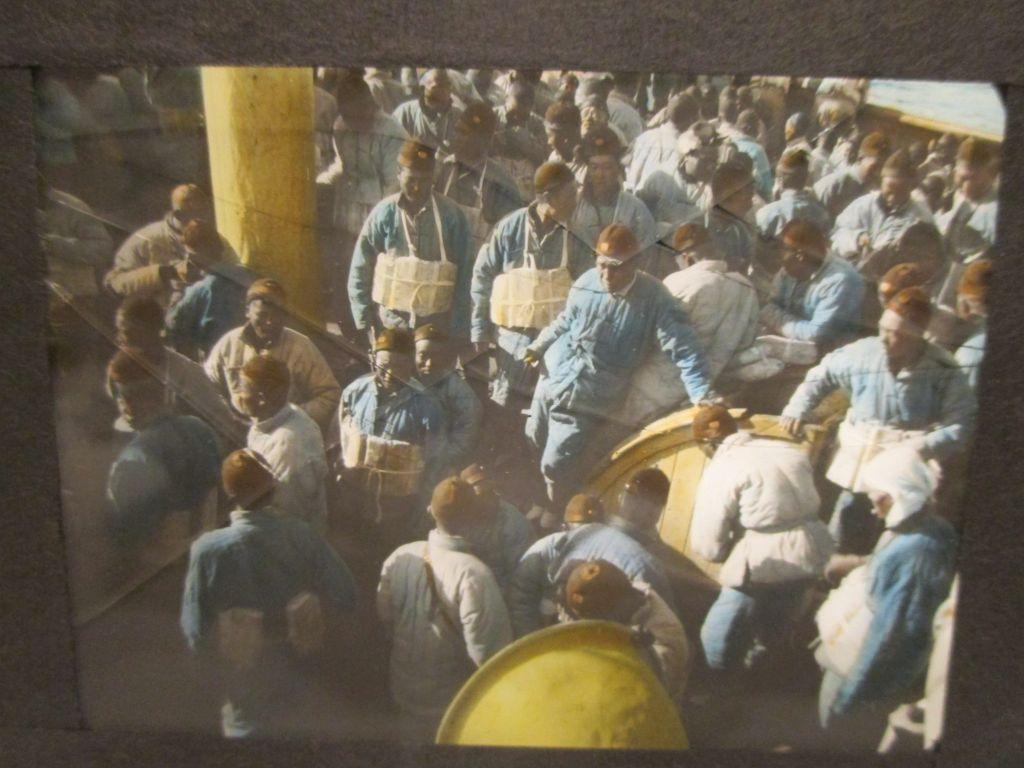 Lot - Early Glass (Color / B & W) Negatives from Shanghai & Mainland China