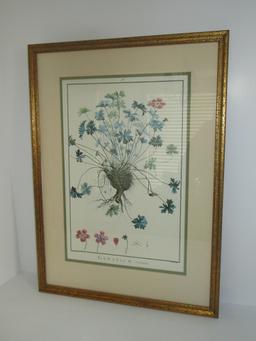 Nice Engraving - "Geranium" - Matted & Framed   22 1/2" x 16 1/2"