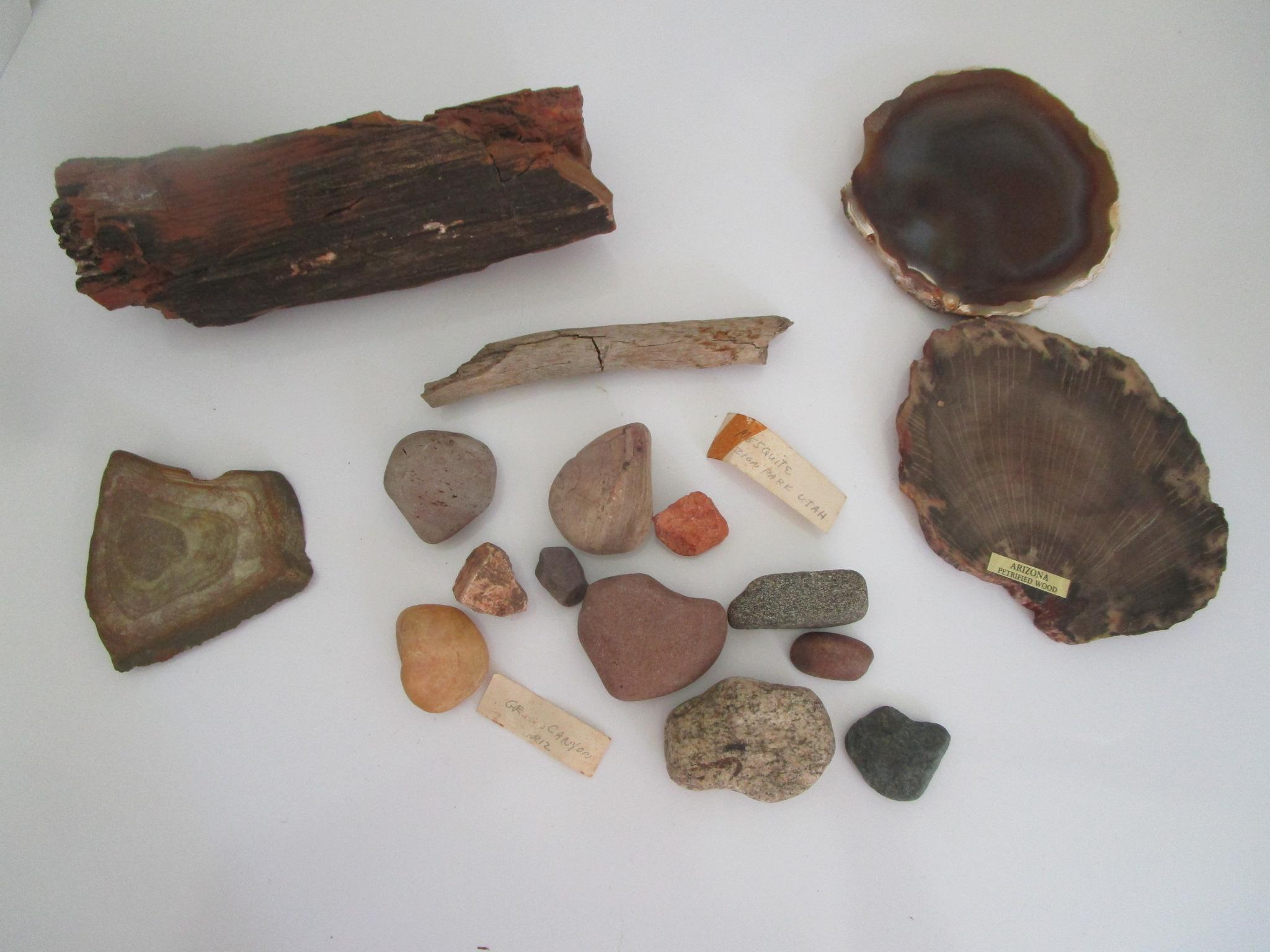 Lot Misc. Fossilized Rock & Other