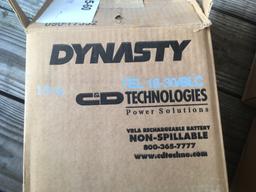 Dynasty 12V Batteries Qty 4