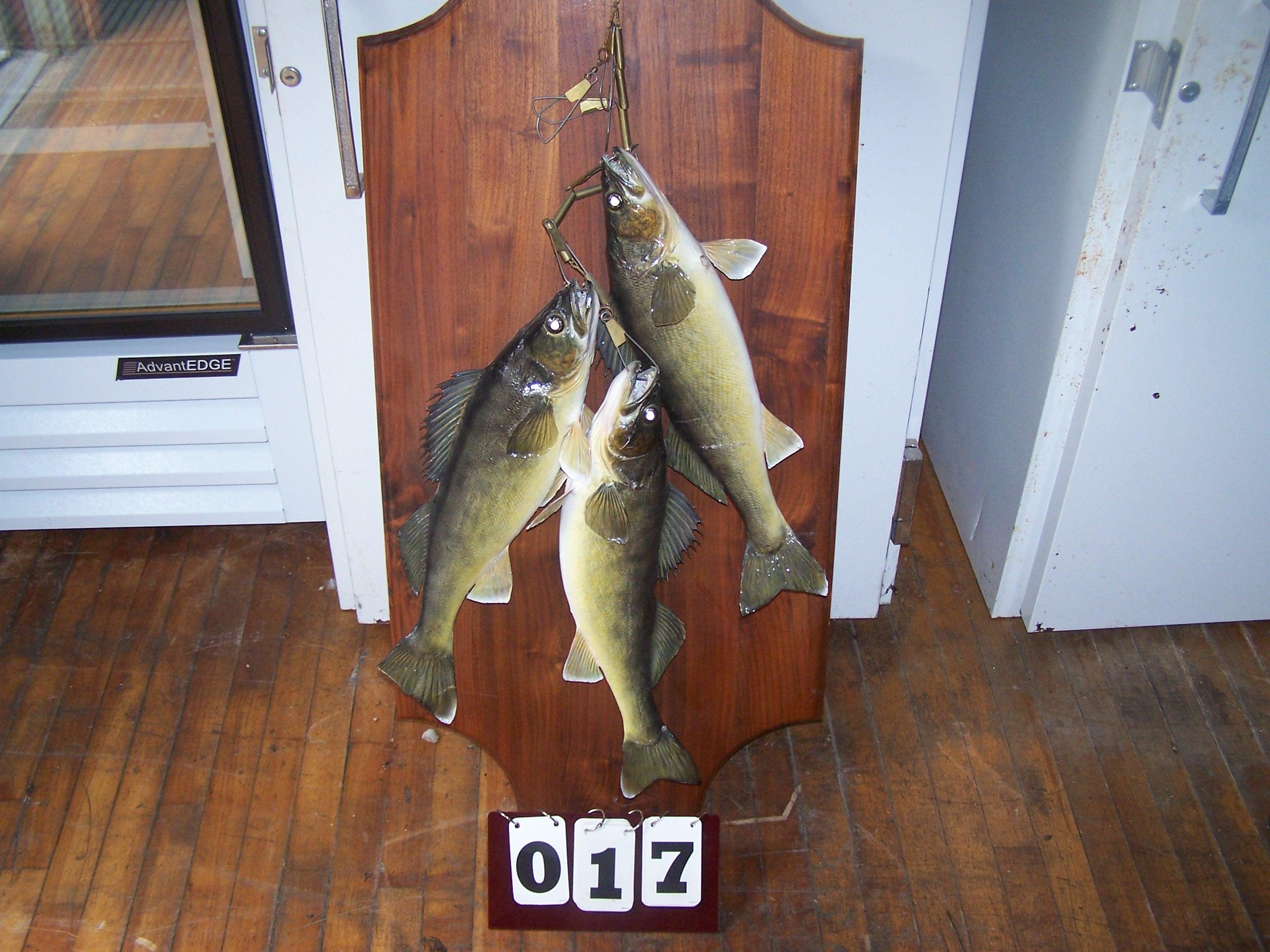 3 Walleye String Mount on Plaque