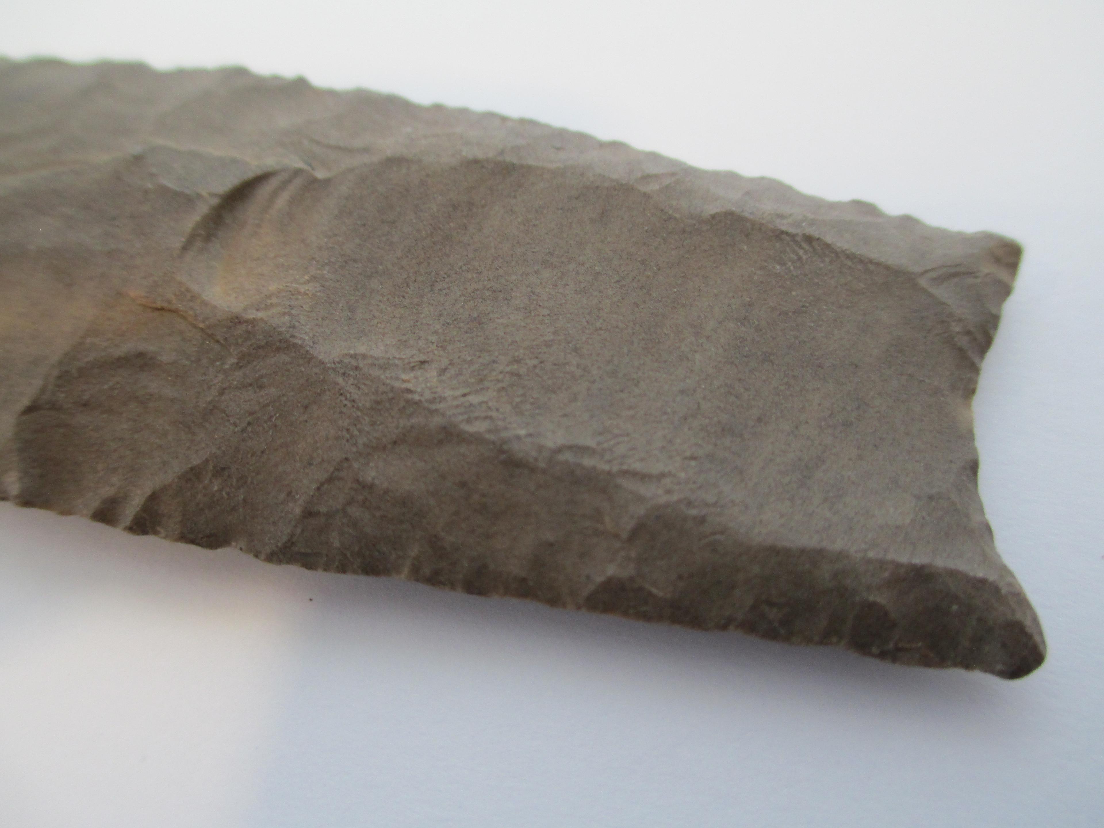 Clovis Point- Early Paleo (12,000-10,600 B.P.)
