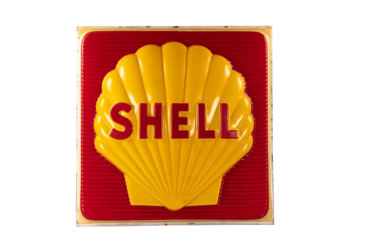 Large Shell Plastic Lighted Sign Insert