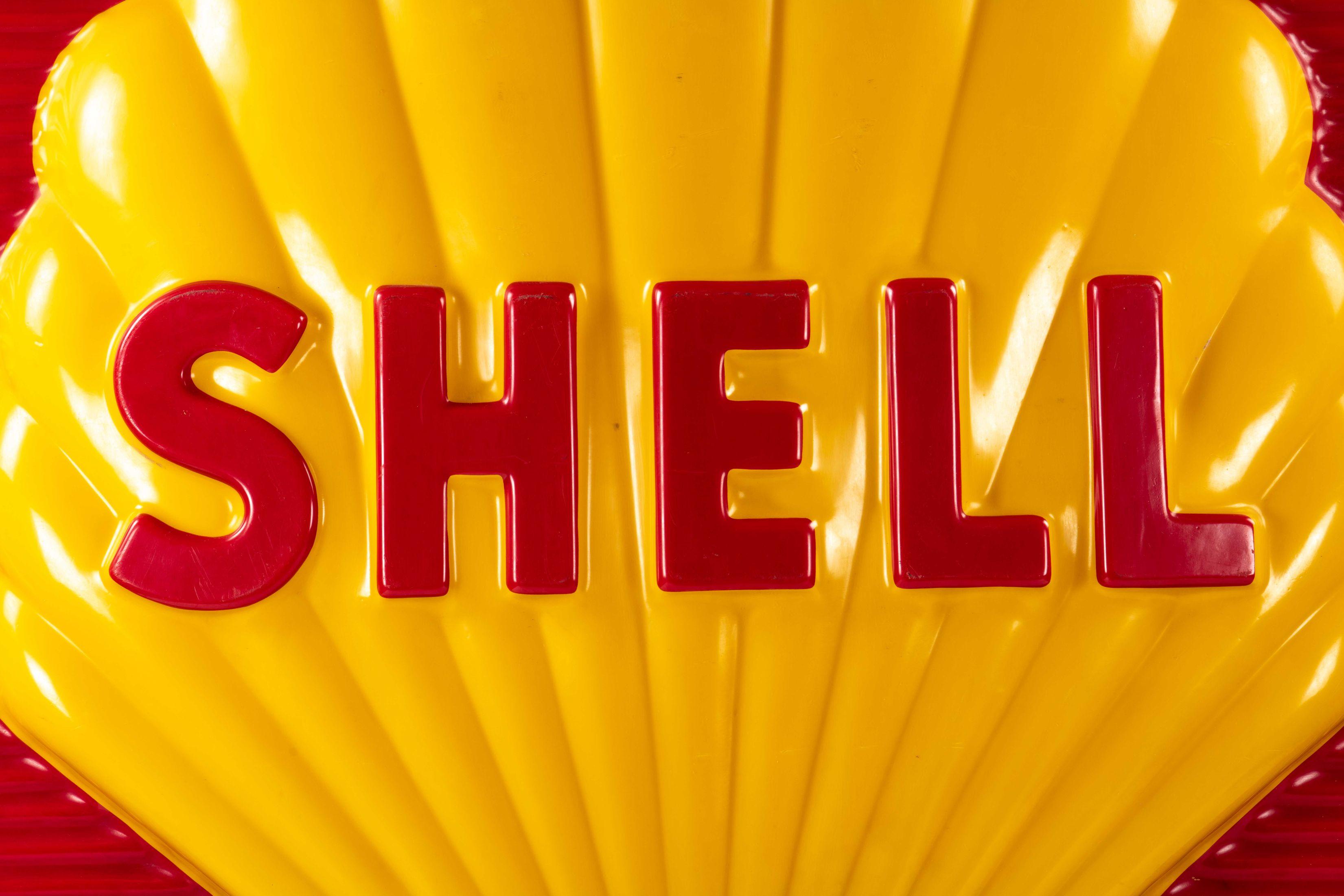 Large Shell Plastic Lighted Sign Insert