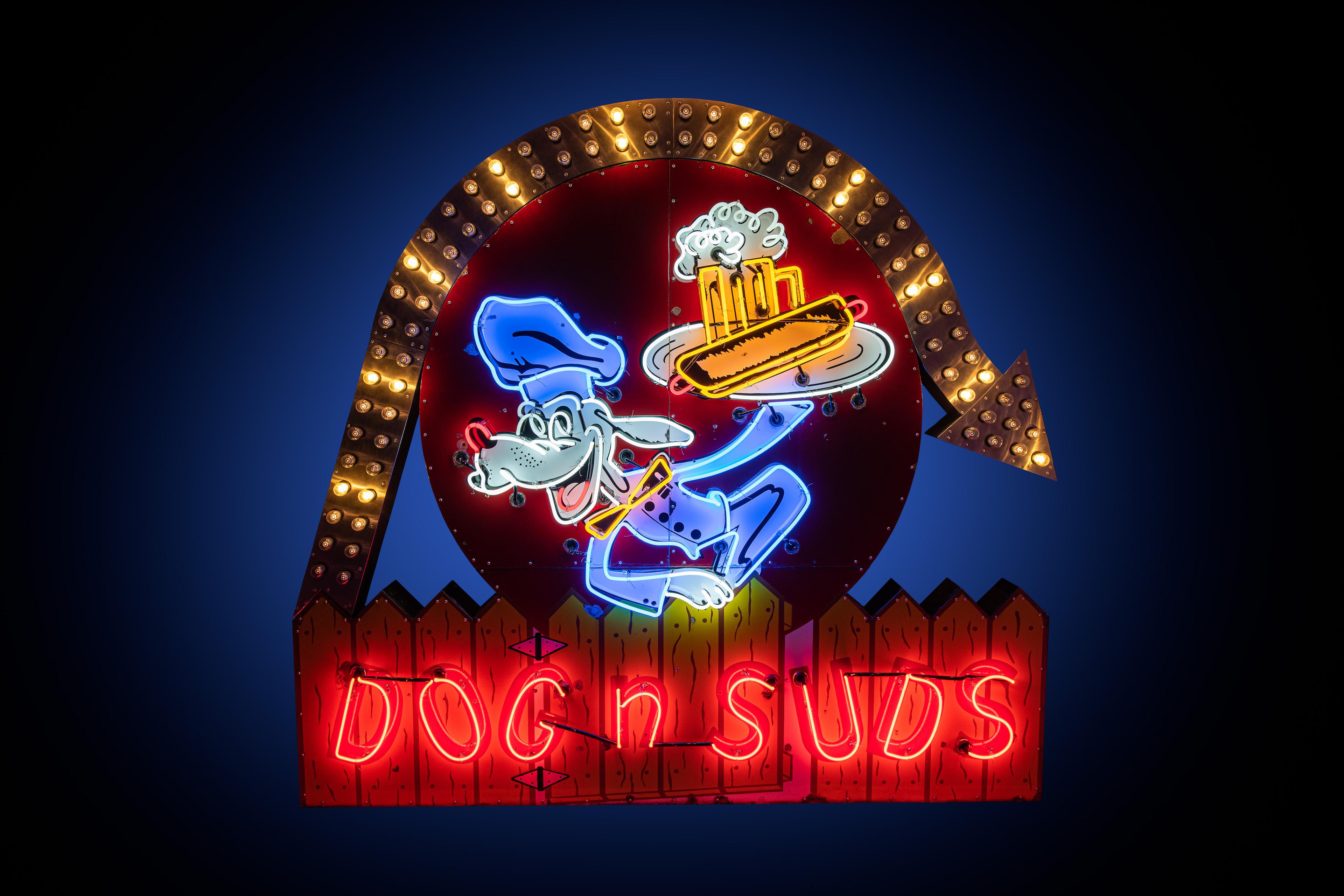 Dog N' Suds Sign