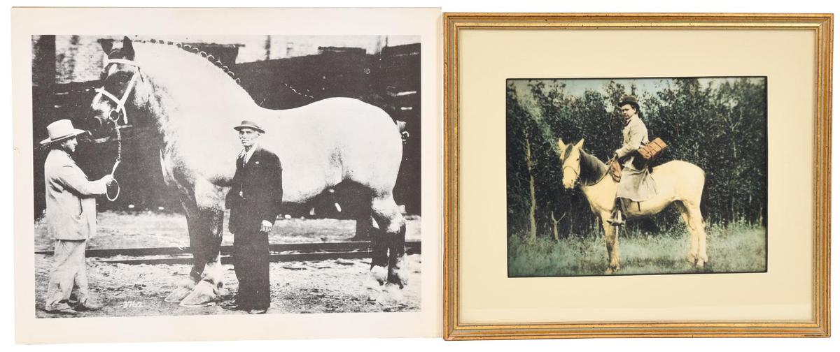 Lot of 2 Horse Pictures