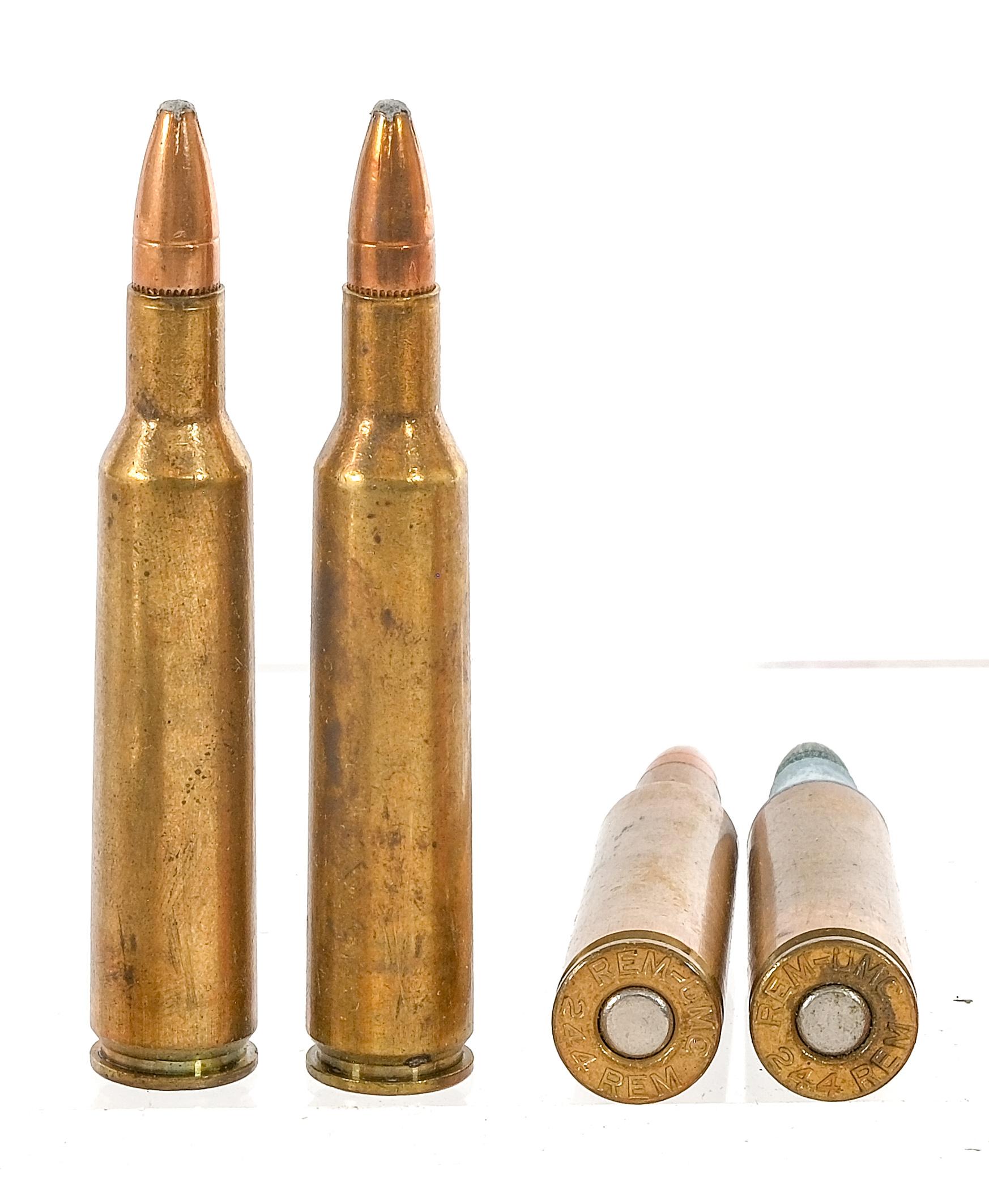 .244 Remington 52 Rds Ammunition