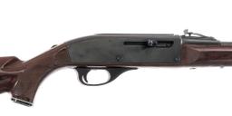 Remington Nylon 66 .22 LR Semi Auto Rifle