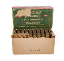 .244 Remington 52 Rds Ammunition