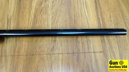 PIETRO BERETTA TRAP-SPECIAL 12 ga. Single Shot Shotgun. Excellent Condition. 32" Barrel. Shiny Bore,