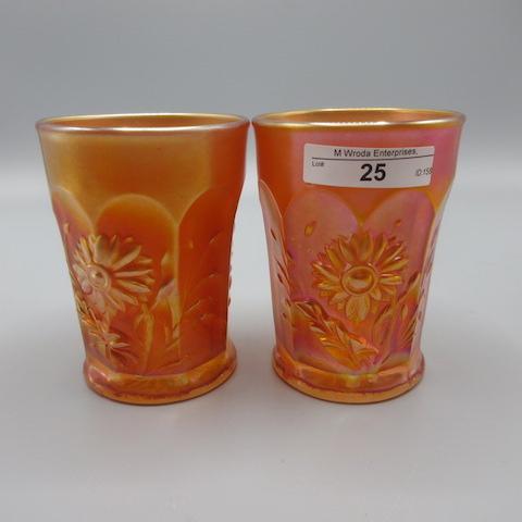 2 mari Dandelion tumblers