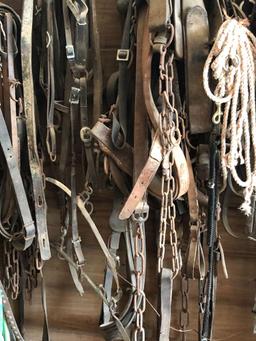 Horse harnesses