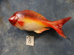 New 14 ... inches Whole Fiberglass Reproduction Vermilion Snapper Fish Mount