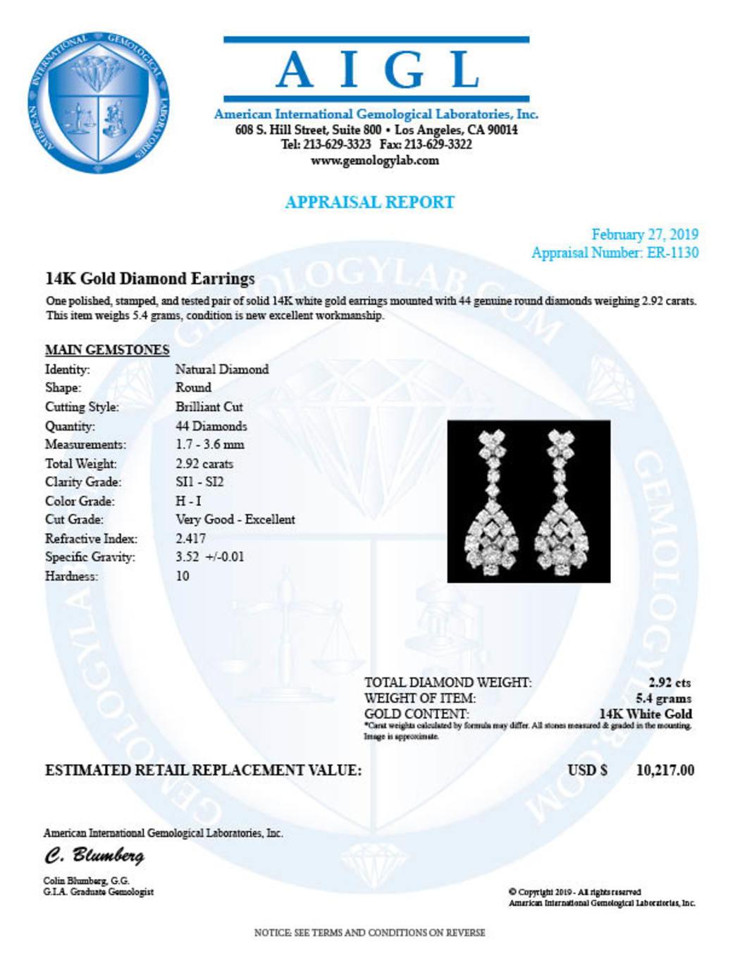 14K White Gold and 2.92ct Diamond Earrings