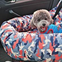 YANG1MN Car Travel Kennel Pet Car Seat Cushion (Color : Orange), Retail $100.00