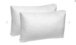 Swiss Comforts Renaissance Gusset Soft Cotton Pillow, 20×26, 2-Pack, Retail $80.00