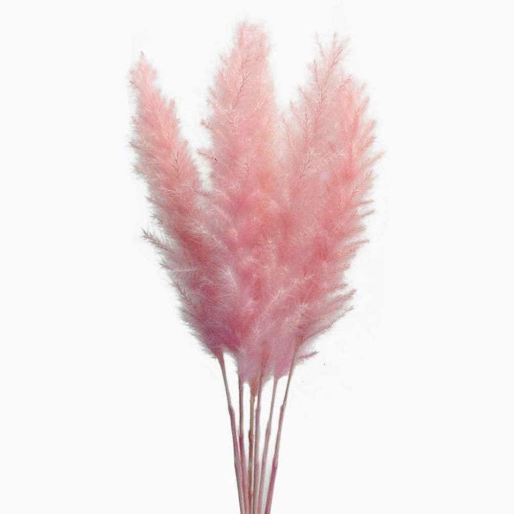 MLSG 60 Stems Natural Dry Flowers Small Pampas Grass, Dried Flowers Bouquet