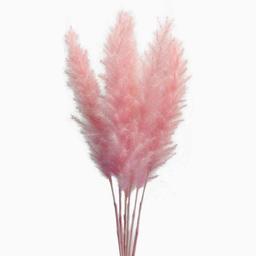 MLSG 60 Stems Natural Dry Flowers Small Pampas Grass, Dried Flowers Bouquet