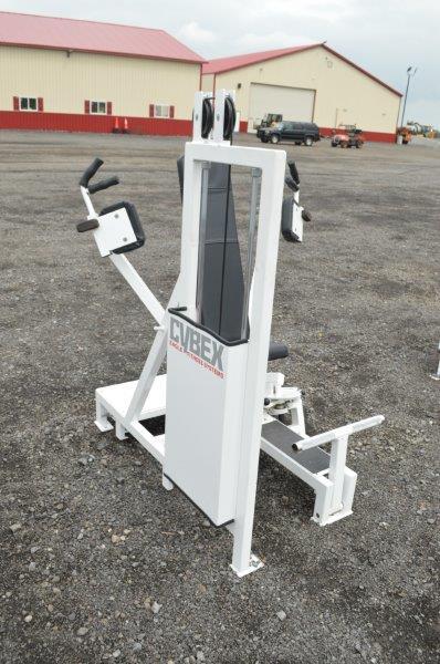 Cybex Eagle Fitness System fly machine