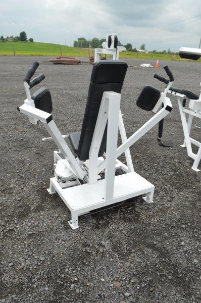 Cybex Eagle Fitness System fly machine