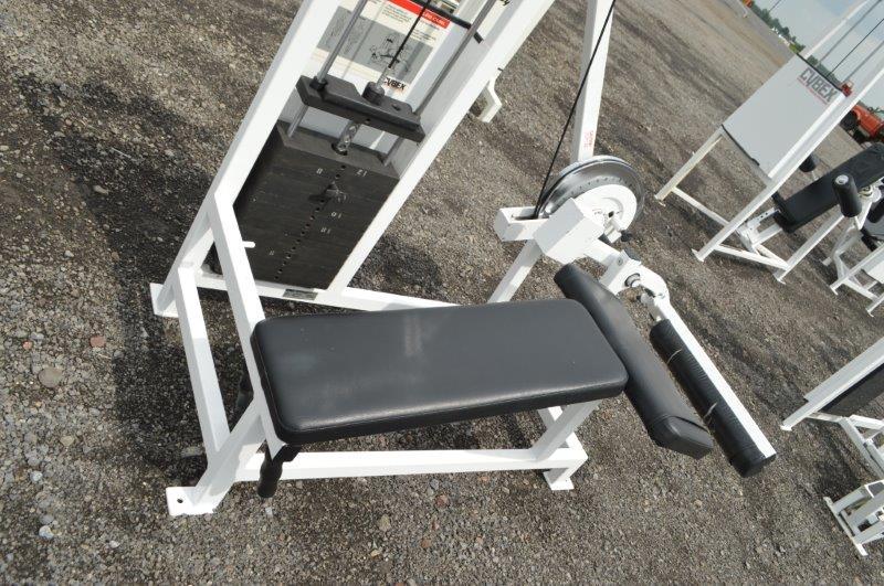 Cybex Eagle Fitness System Leg curl