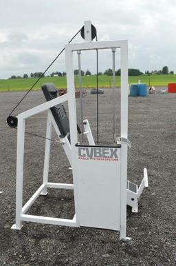 Cybex Eagle Fitness System Chest Press