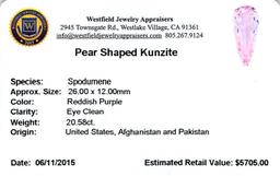 20.58 ctw Pear Mixed Kunzite Parcel