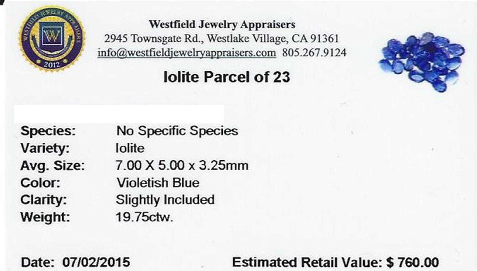 19.75 ctw Oval Mixed Iolite Parcel