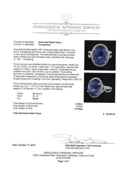 GIA Cert 14.65 ctw Tanzanite and Diamond Ring - 14KT White Gold