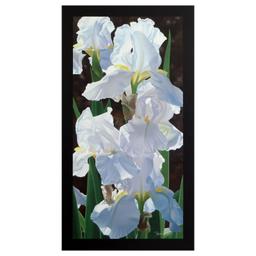 Brian Davis, "Enchanting Irises" Limited Edition Giclee on Canvas (18" x 36"), N