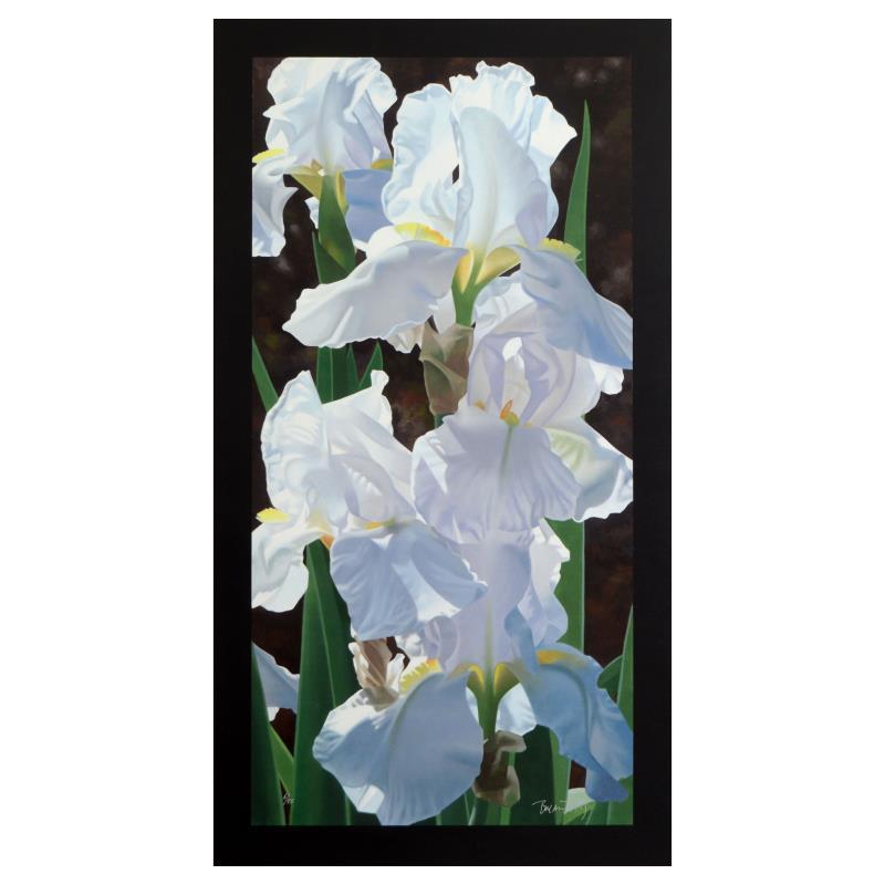 Brian Davis, "Enchanting Irises" Limited Edition Giclee on Canvas (18" x 36"), N