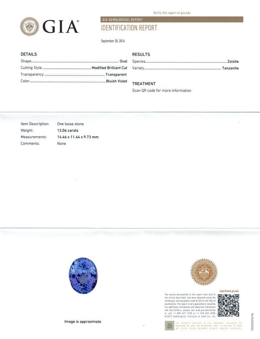 GIA Cert 12.06 ctw Tanzanite and Diamond Ring - 14KT White Gold