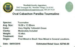 10.46 ctw Cabochon Paraiba Tourmaline Parcel