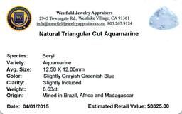 8.63 ctw Triangle Aquamarine Parcel
