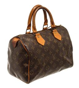 Louis Vuitton Speedy 25 cm Handbag