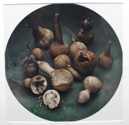 Yang Bin Nature Mortes Aux Courges